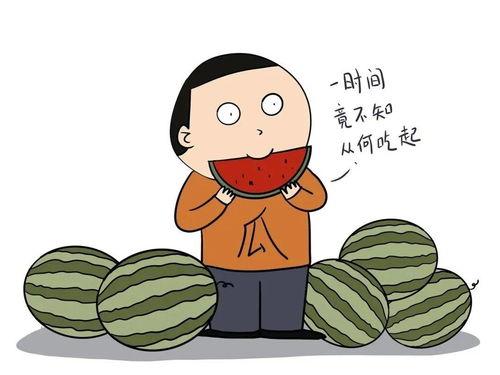 吃瓜讲动漫,趣味解读与深度剖析