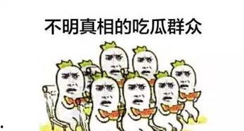 吃瓜群众不能例外