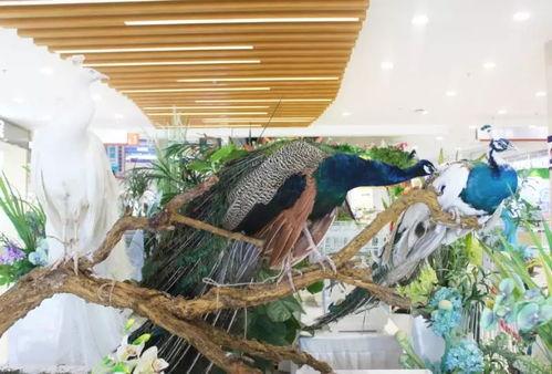 广东吃瓜商场