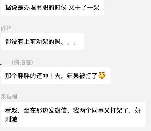 吃瓜段子视频,揭秘热门段子视频背后的趣味人生
