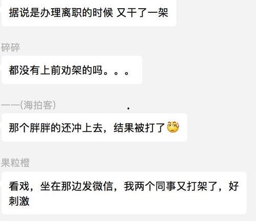 最新段子吃瓜评论视频,笑料百出，网友热议不断