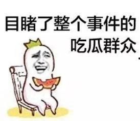 吃瓜群众说石头视频,一场视觉盛宴的诞生
