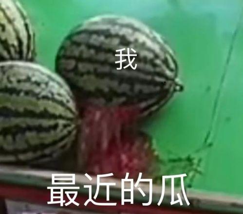 人类在线吃瓜视频,揭秘人类在线吃瓜视频背后的趣味与现象