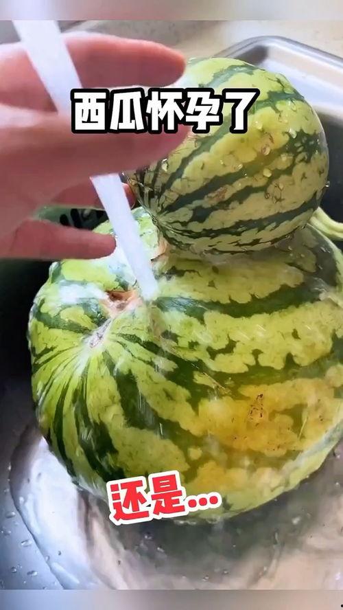 潮汕吃瓜搞笑视频在线观看,笑料横生，在线观看乐翻天！